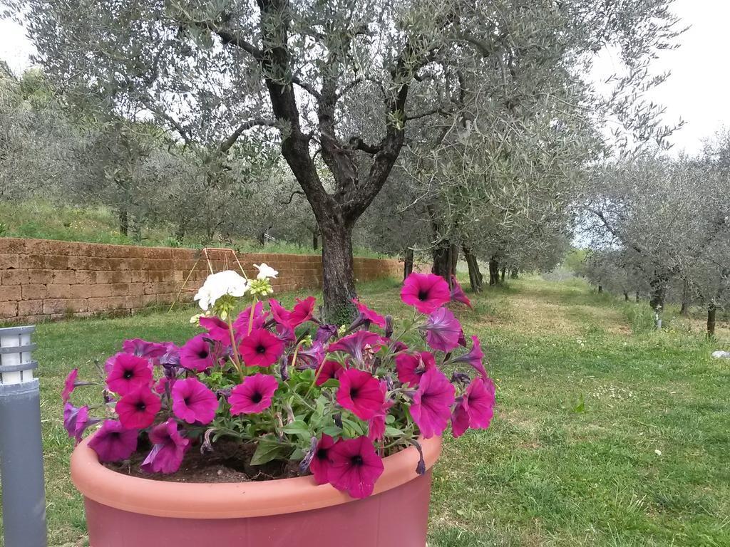 Agriturismo Camparella Pastrengo Eksteriør billede