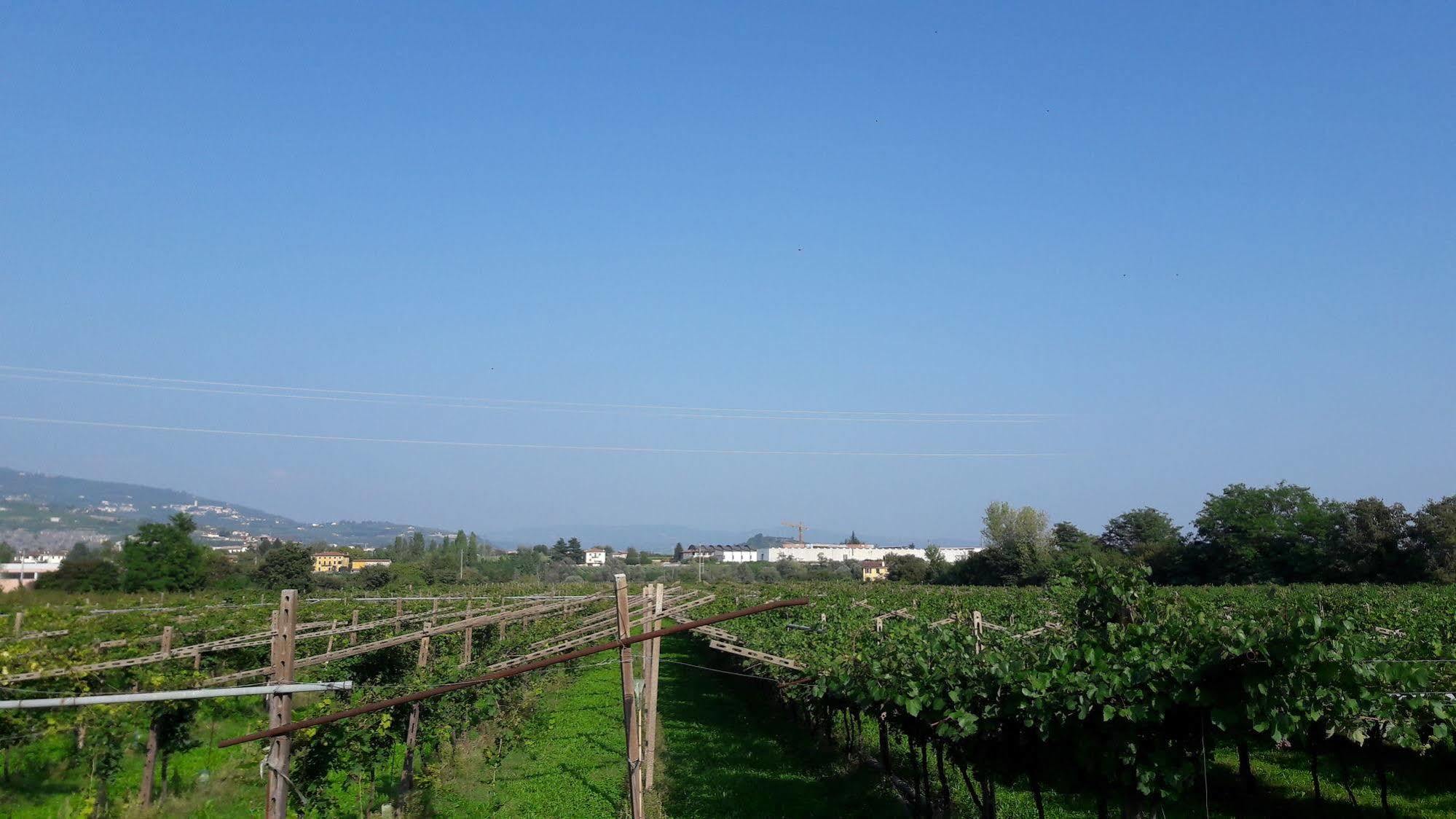 Agriturismo Camparella Pastrengo Eksteriør billede